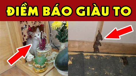  Ghẹ - Những Con Vật Có Vỏ Gối Rộng Và Chân Siêu Lành