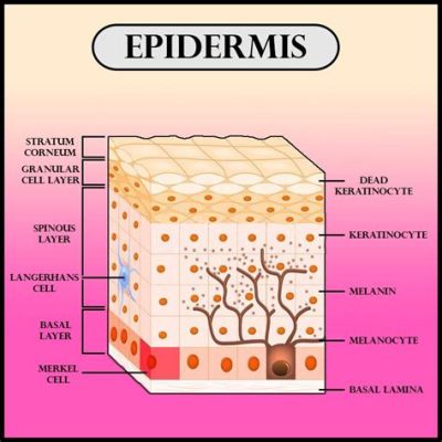  Épidermis Élégant: Một Sinh Vật Đáng Ngạc Nghiện Sở Hữu Bộ Lớp Bên Ngoài Chẳng Khác Gì Một Tác Phẩm Nghệ Thuật!